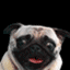 Avatar du membre